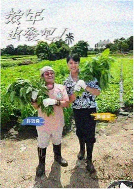 深夜谈话综艺凌晨三点的访谈全集